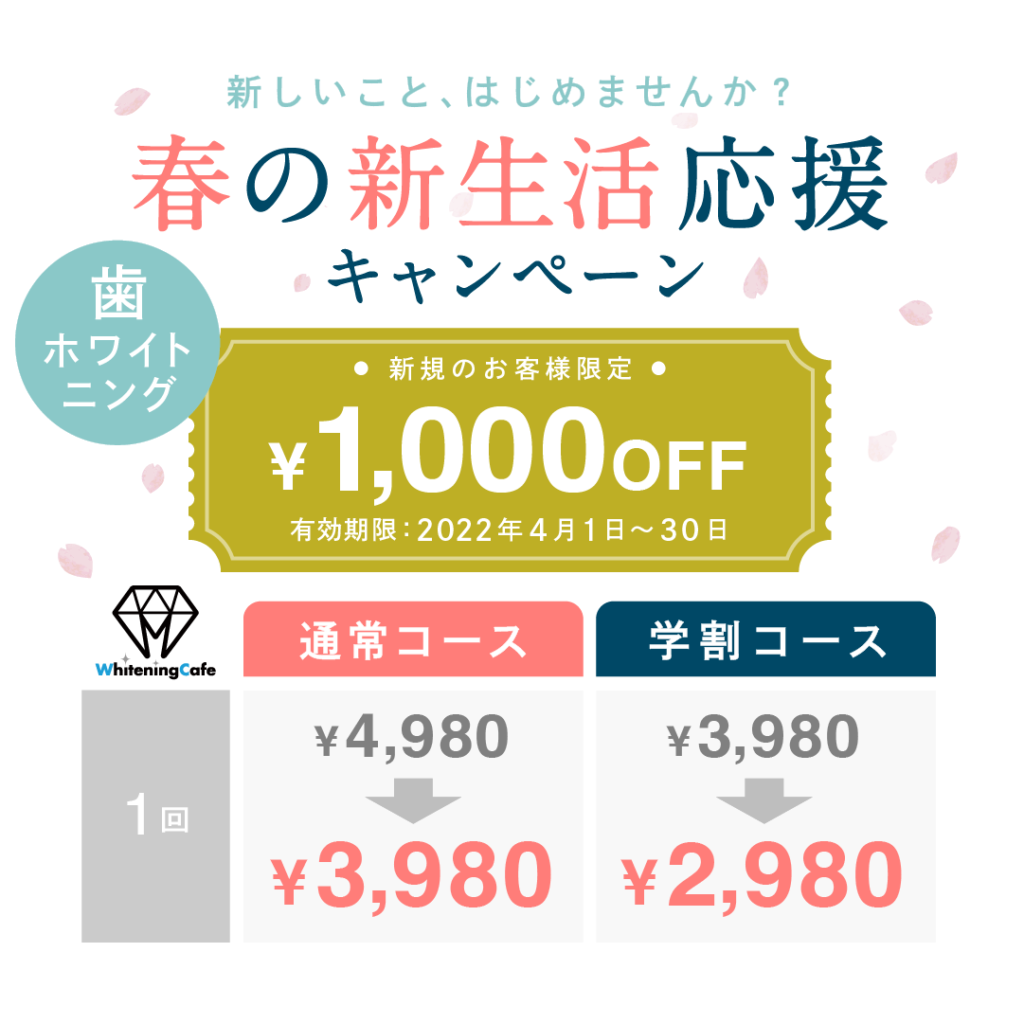 春の新生活応援キャンペーンとして4月末まで1,000円OFF！